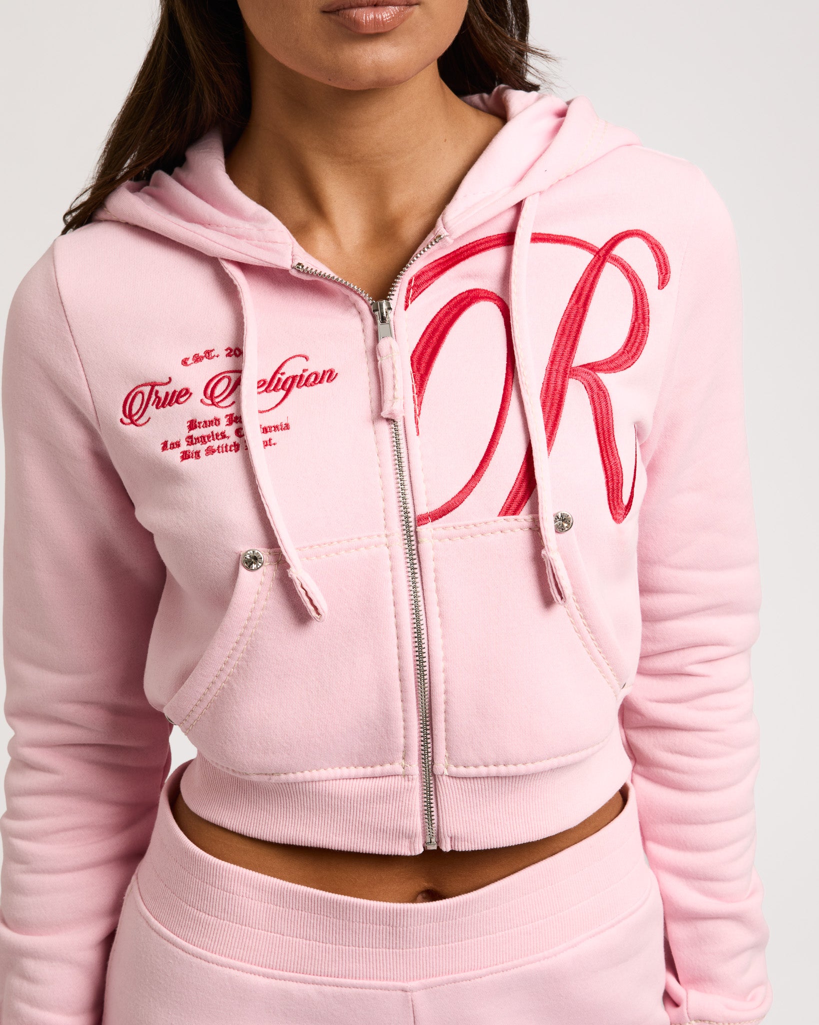 EMBR BIG T SHRUNKN ZIP HOODIE - FAIRYTALE